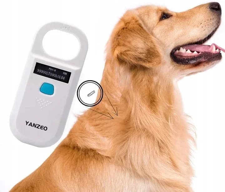 ISWNVO AR180S DOMOWY CZYTNIK MIKROCZIPÓW SKANER czarny ISWNVO AR180S DOMOWY CZYTNIK MIKROCZIPÓW SKANER czarny - ISNVO Weterynaria